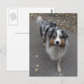 Mooie meerkleurige Aussie Briefkaart (Voorkant / Achterkant)