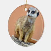 Mooie meerval keramisch ornament (Links)