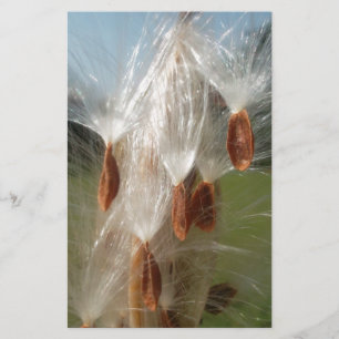 Mooie Milkweed Magic: een Skyward Flight Design Briefpapier