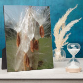 Mooie Milkweed Magic: een Skyward Flight Design Fotoplaat (Zijkant)