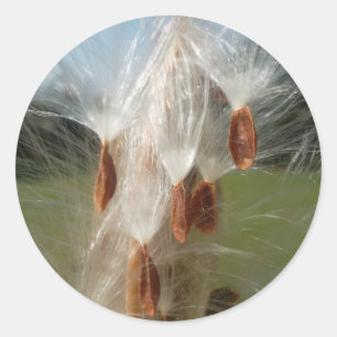 Mooie Milkweed Magic: een Skyward Flight Design Ronde Sticker