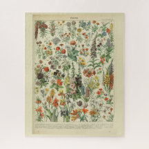 Mooie Millot Fleur illustratie Print