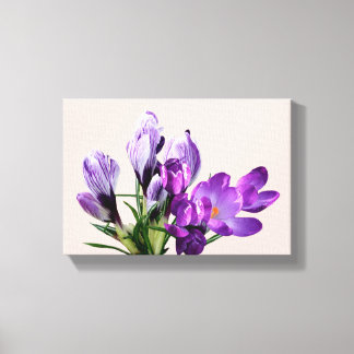 Mooie moderne mooie paarse krokus bloemstuk    ca canvas afdruk
