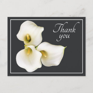 Mooie Moderne Witte Calla Lelie Botanische Dank Je Briefkaart