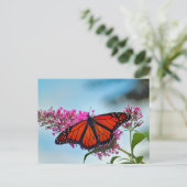 Mooie Monarch Butterfly foto Briefkaart (Staand voorkant)