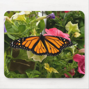 Mooie Monarch Butterfly Spread Wings Petunia Muismat