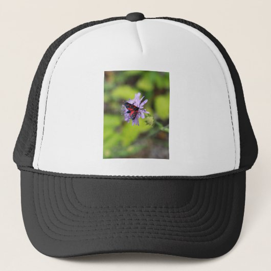 Mooie Moth Trucker Pet (Voorkant)
