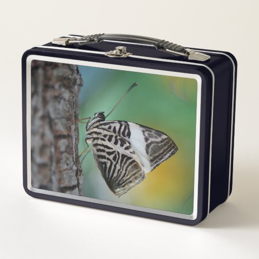 Mooie mozaïsche Zebra vlinder (Voorkant)