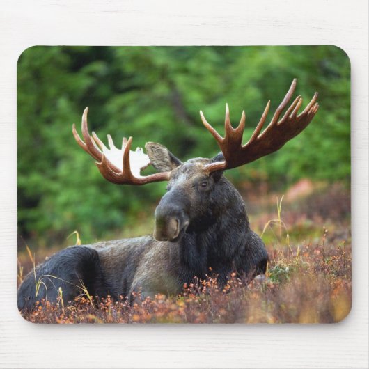 Mooie! Muismat (Voorkant)