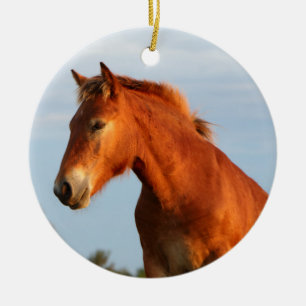 Mooie Mule Horse Keramisch Ornament