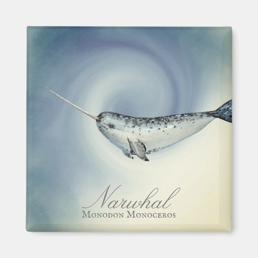 Mooie Narwalvis, Monodon Monoceros Magneet (Voorkant)
