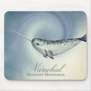 Mooie Narwalvis, Monodon Monoceros Muismat