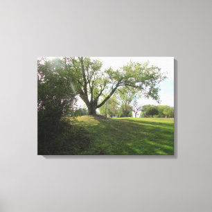 Mooie Natuur Landschap Bomen Fotografie Kunst Canvas Afdruk