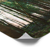 Mooie Natuur van de lentedag Trees Sun Poster (Hoek)