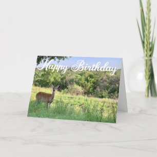 Mooie Natuur voor Deer Fotografie Happy Birthday Kaart