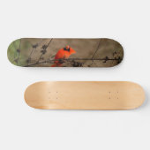 Mooie noordelijke kardinaal skateboard (Horizontaal)