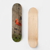 Mooie noordelijke kardinaal skateboard (Voorkant)