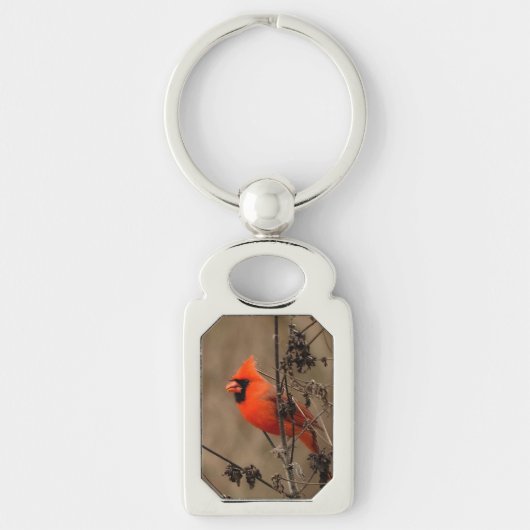Mooie noordelijke kardinaal sleutelhanger (Voorkant)