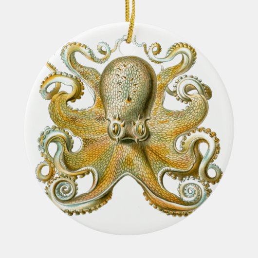 Mooie octopus afbeelding van Haeckel Keramisch Ornament (Voorkant)