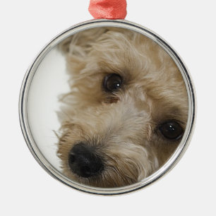 Mooie ogen van een Yorkie Poo Puppy Metalen Ornament