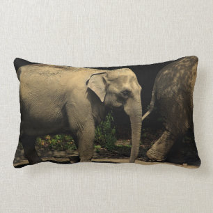 Mooie olifant kussen
