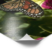 Mooie olifantenvlinder foto afdruk (Hoek)