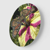 Mooie olifantenvlinder grote klok (Hoek)