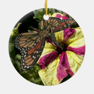Mooie olifantenvlinder keramisch ornament