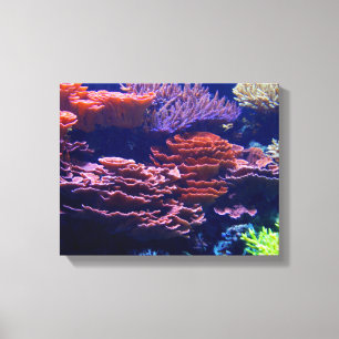 mooie onderzeese oceaanscène, leven onder zee canvas afdruk
