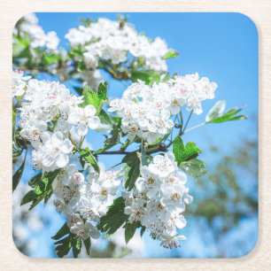 Mooie Onderzetter met witte bloemen