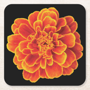 Mooie Onderzetters set van Marigold