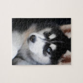 Mooie one Blue Eye Siberian Husky 2 Legpuzzel (Horizontaal)
