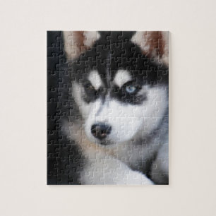 Mooie one Blue Eye Siberian Husky 2 Legpuzzel