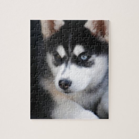 Mooie one Blue Eye Siberian Husky 2 Legpuzzel (Verticaal)