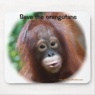 Mooie Orangutan baby Muismat