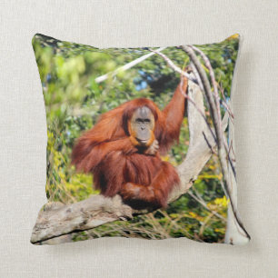 Mooie Orangutan foto Kussen