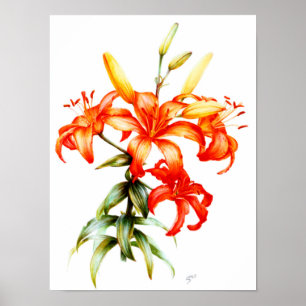 Mooie oranje lileugenpotlood en waterverf kunst poster