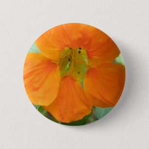 Mooie Oranje Oostindische Kers Bloem Knop Ronde Button 5,7 Cm
