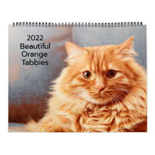 Mooie Oranje Tabbykatten 2022 Agenda Kalender