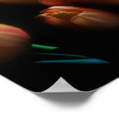 Mooie Oranje Tulpen op zwart Poster (Hoek)
