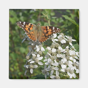 Mooie Oranje Vlinder & Witte Bloemen Magneet