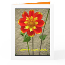 Mooie Oranjegele Bloem