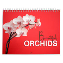 Mooie orchideeën met de agenda voor de muur