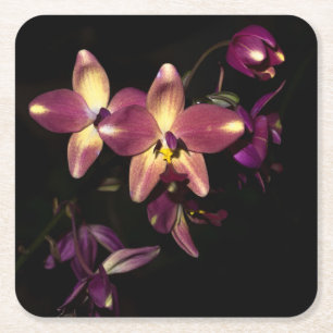 Mooie orchideeën vierkante kartonnen onderzetter