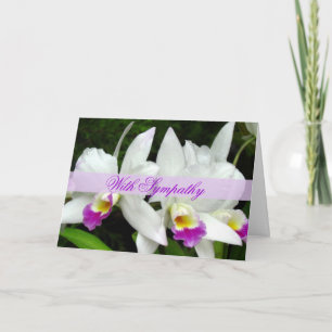 Mooie Orchids Sympathy Card Kaart