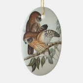 Mooie  ornament (Rechts)