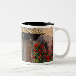 Mooie oude woning met bloemen bij San Gimignano Tweekleurige Koffiemok