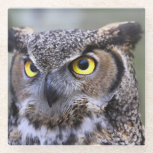 Mooie Owl Glazen Onderzetter