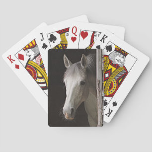Mooie Paard en Landelijke Schuur Pokerkaarten