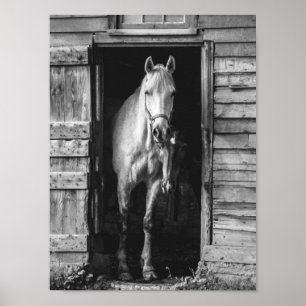 Mooie paarden Black en White Rustic Farmhouse Poster